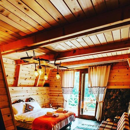 Purkinora  Villa Çamlıhemşin Bagian luar foto