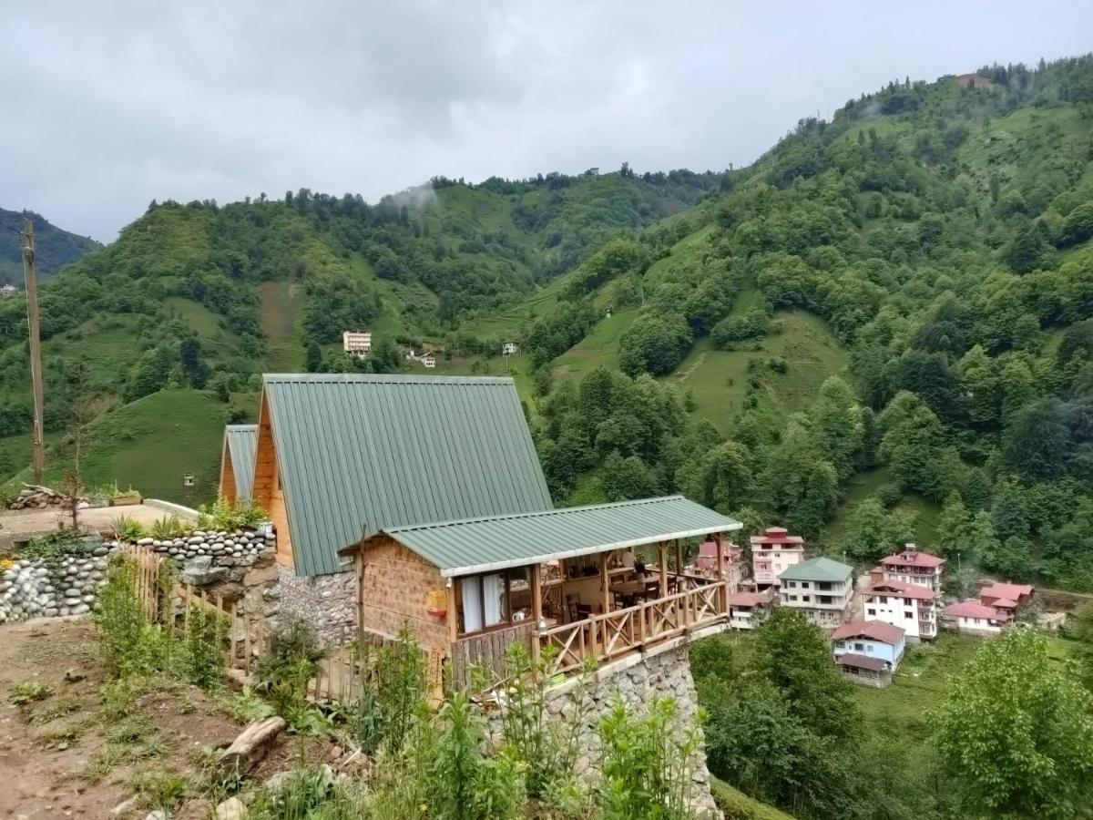 Purkinora  Villa Çamlıhemşin Bagian luar foto