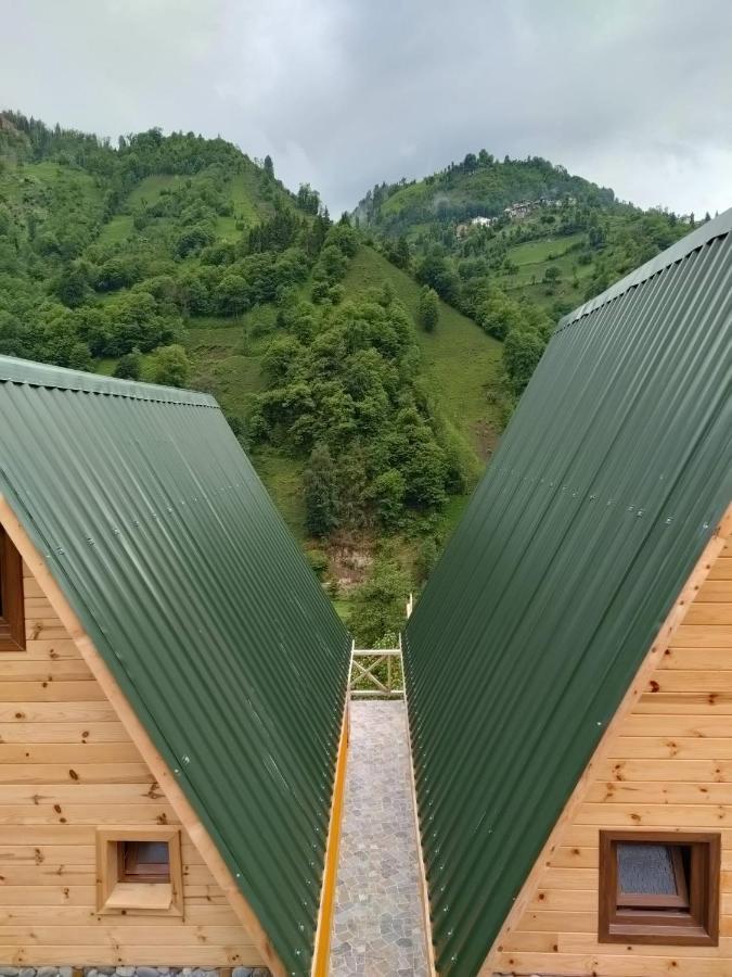 Purkinora  Villa Çamlıhemşin Bagian luar foto