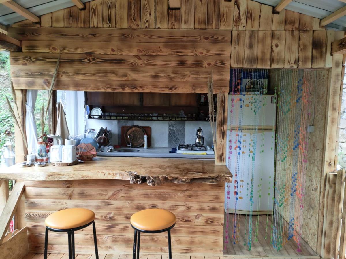 Purkinora  Villa Çamlıhemşin Bagian luar foto