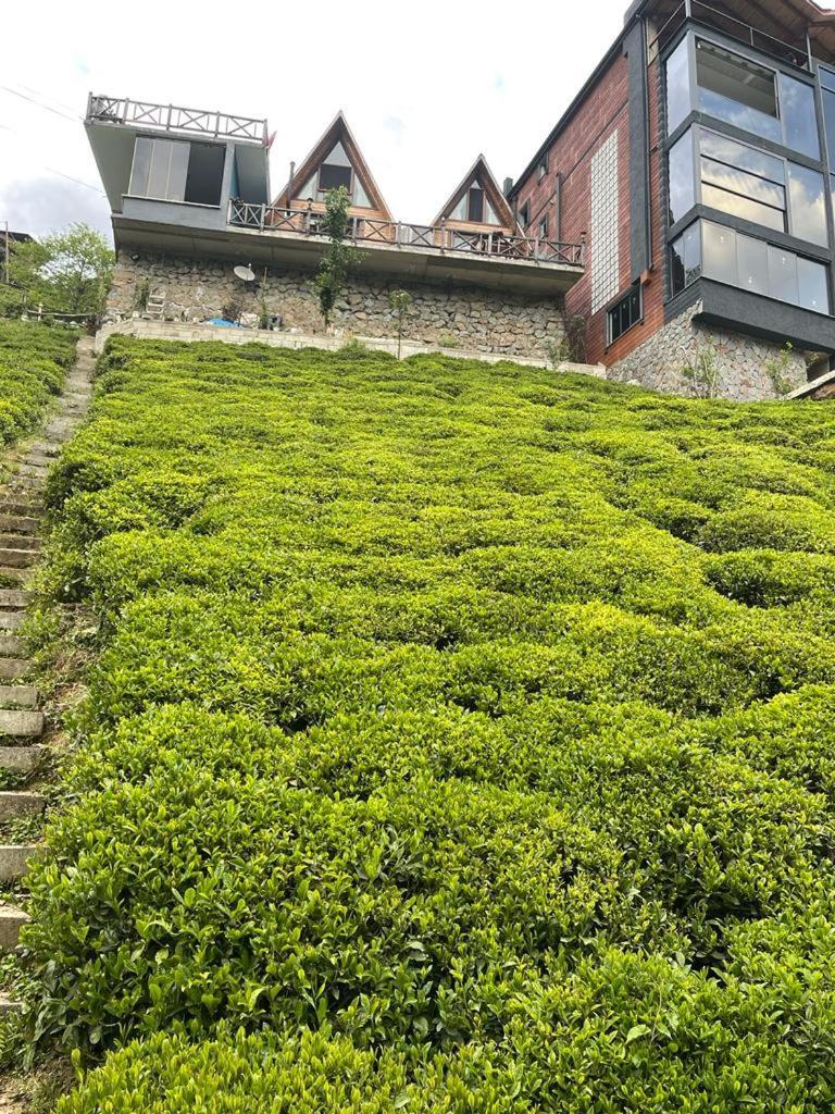 Purkinora  Villa Çamlıhemşin Bagian luar foto