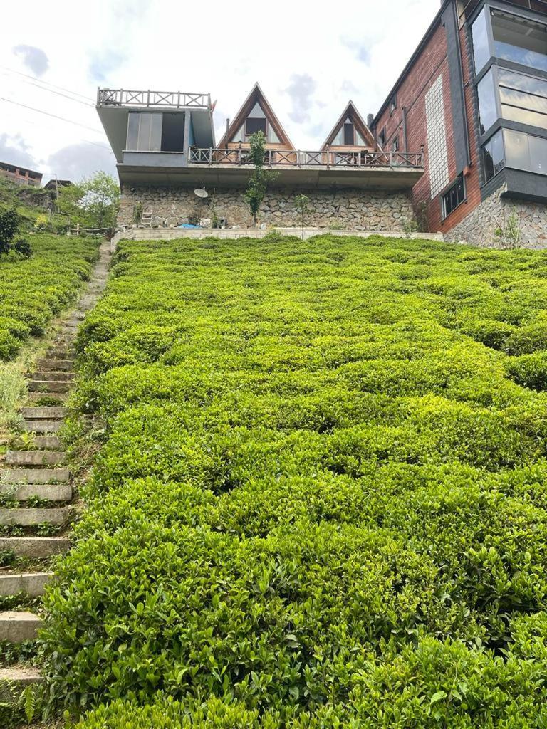 Purkinora  Villa Çamlıhemşin Bagian luar foto