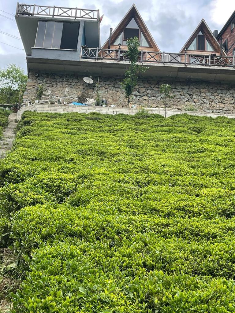 Purkinora  Villa Çamlıhemşin Bagian luar foto