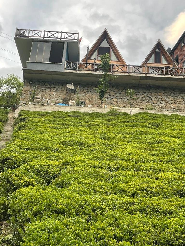 Purkinora  Villa Çamlıhemşin Bagian luar foto